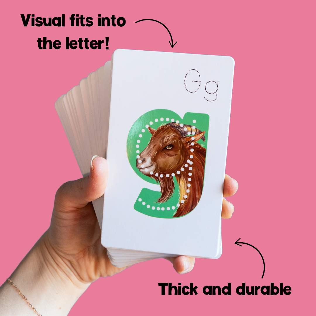 Lit Letters Flashcards Official Lit to Lead Product | Learn Letter Sounds up to 2X Faster | Alphabet Flash Cards | Embedded Pictograph Mnemonic